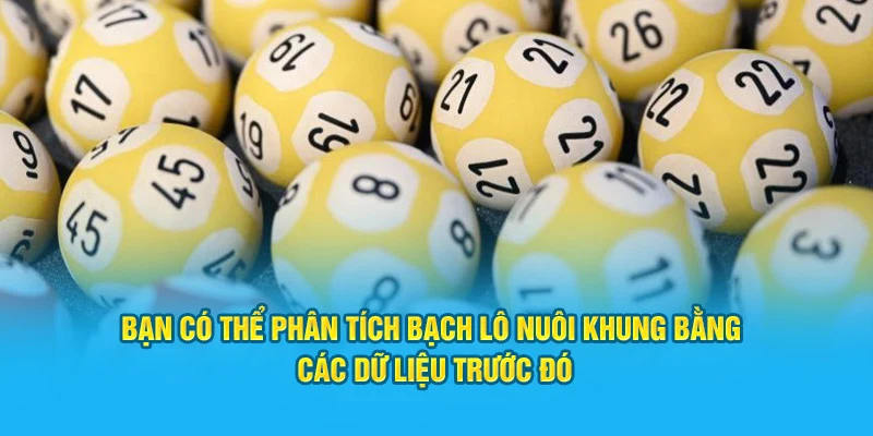 Bạn có thể phân tích bạch lô bằng các dữ liệu trước đó