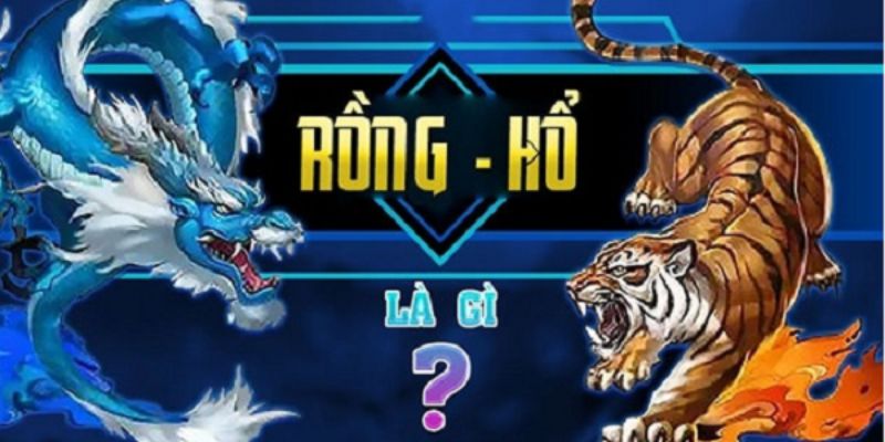 Một vài thông tin cơ bản nhất về game rồng hổ