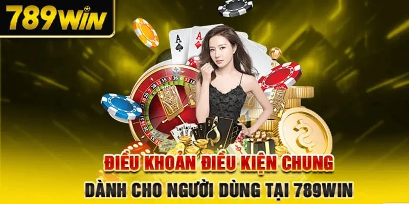 Chính sách quy định cần tuân thủ khi trải nghiệm